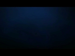 Υπερηχητικό κόφτης τροφίμων 305mm 2000w για την παραγωγή κέικ και γλυκών